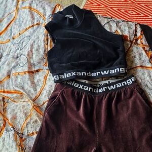 Alexander wang crop top